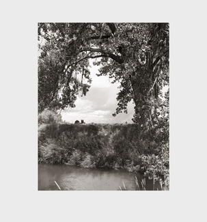 The New West - Robert Adams - Steidl Verlag